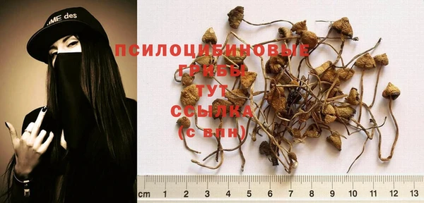 тгк Кодинск